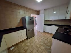 The Cairnhill (D9), Condominium #619024731
